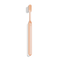 Orange Toothbrush